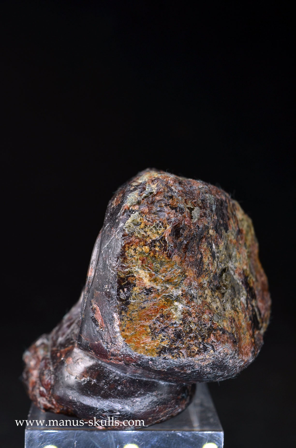 Garnet Evolian #09 Spiral Eyes