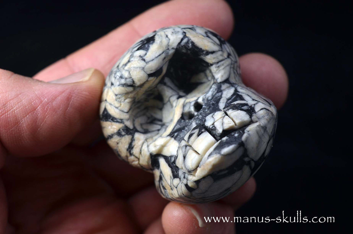 Austrian Pinolith Evolian #09