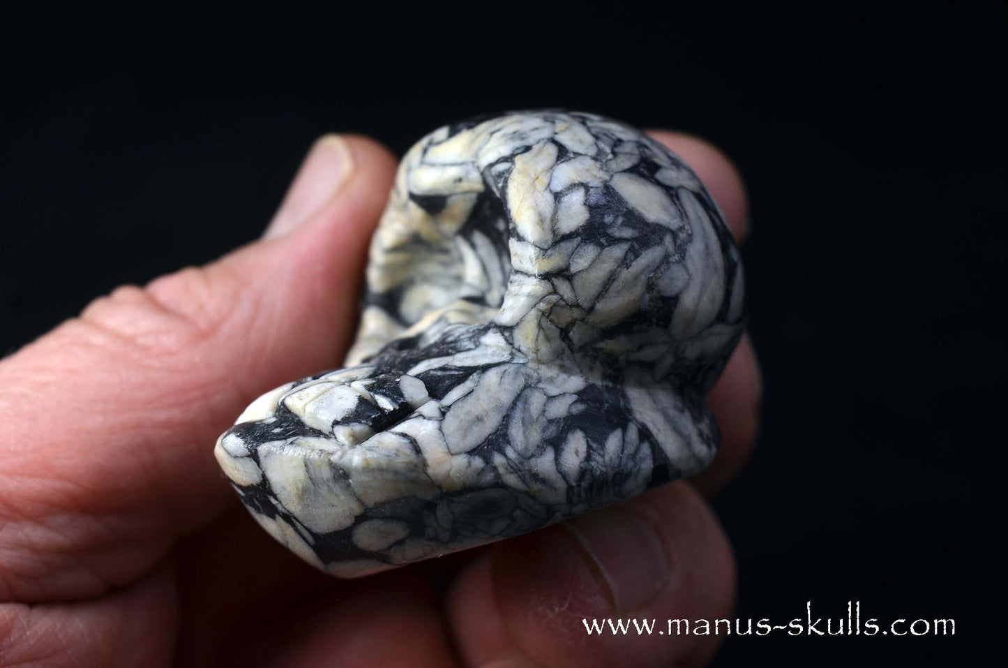 Austrian Pinolith Evolian #09