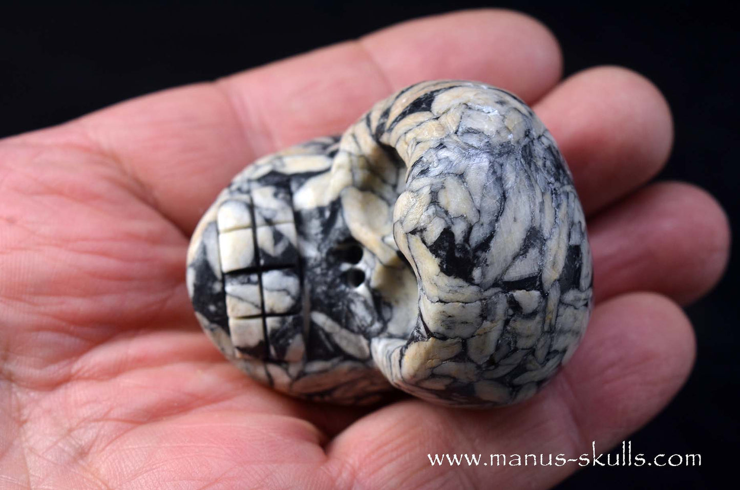 Austrian Pinolith Evolian #09