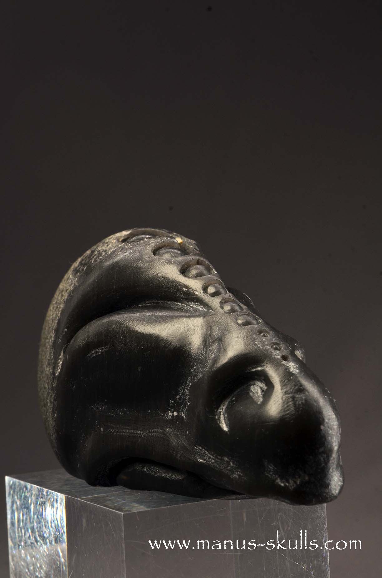 Agni Manitite Alien Skull