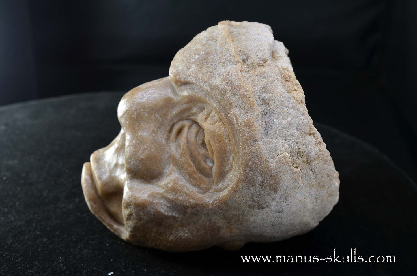 Stromatolite ~ Oncolite Character Skull