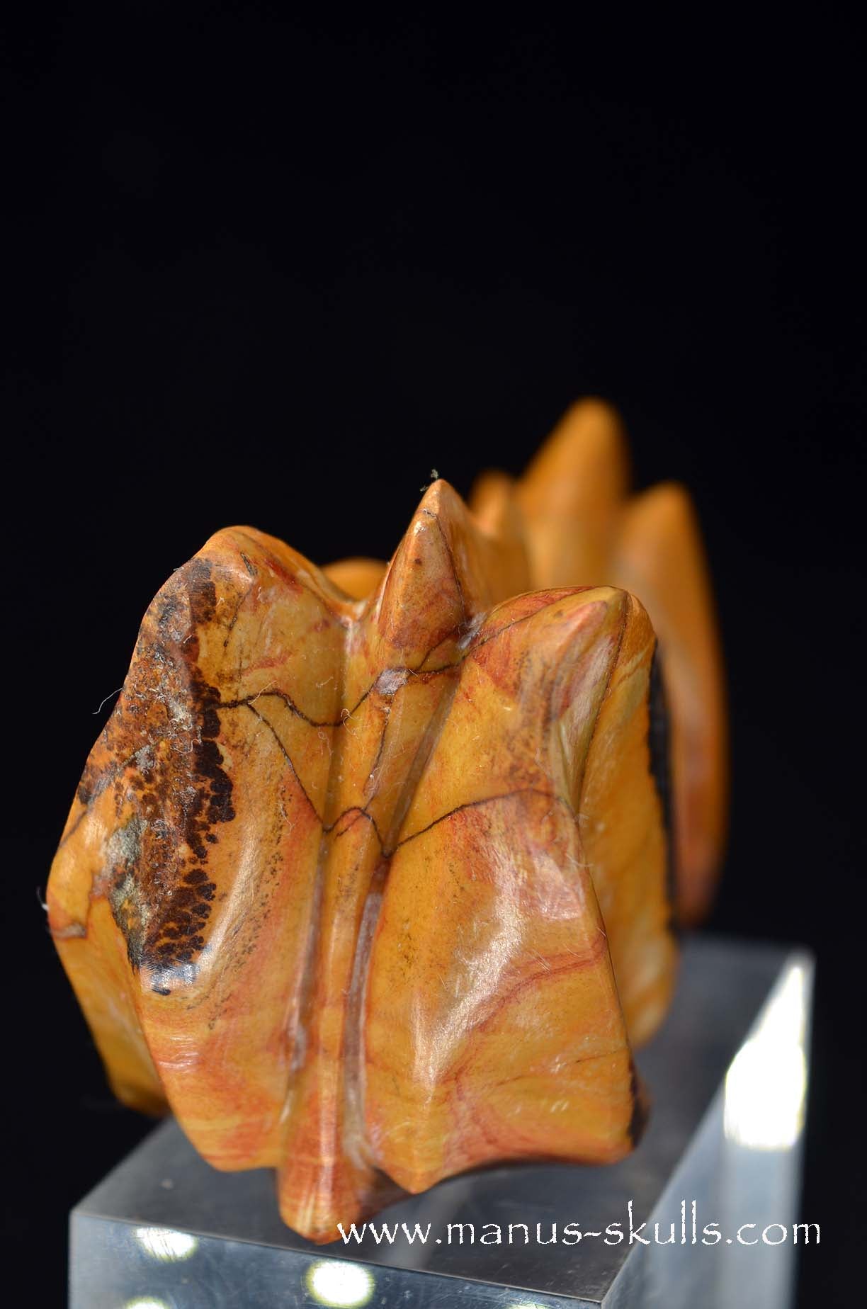 Rainbow Jasper Dragon