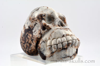 GASPEITE (Lemon Chrysoprase) SKULL