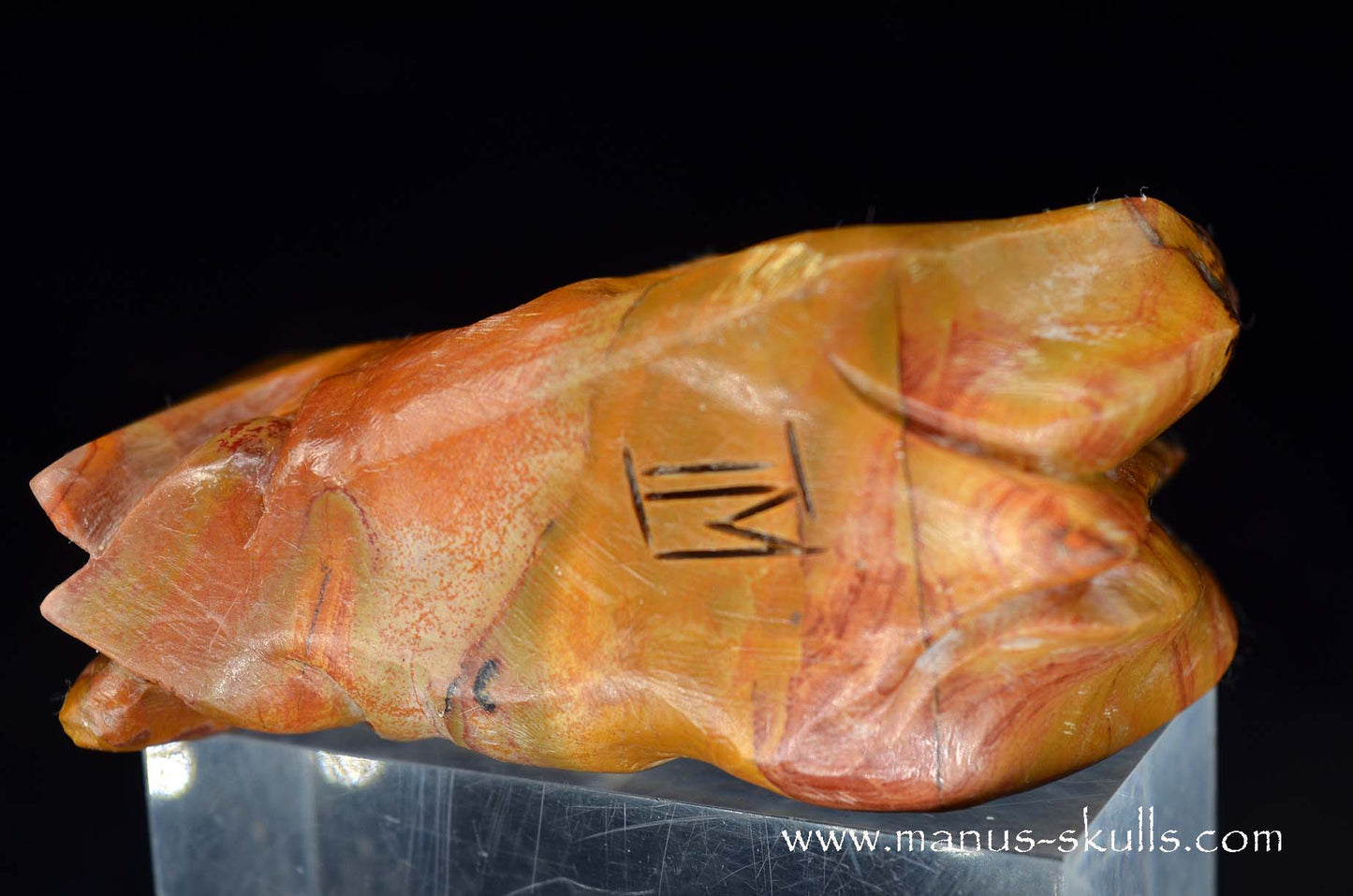 Rainbow Jasper Dragon