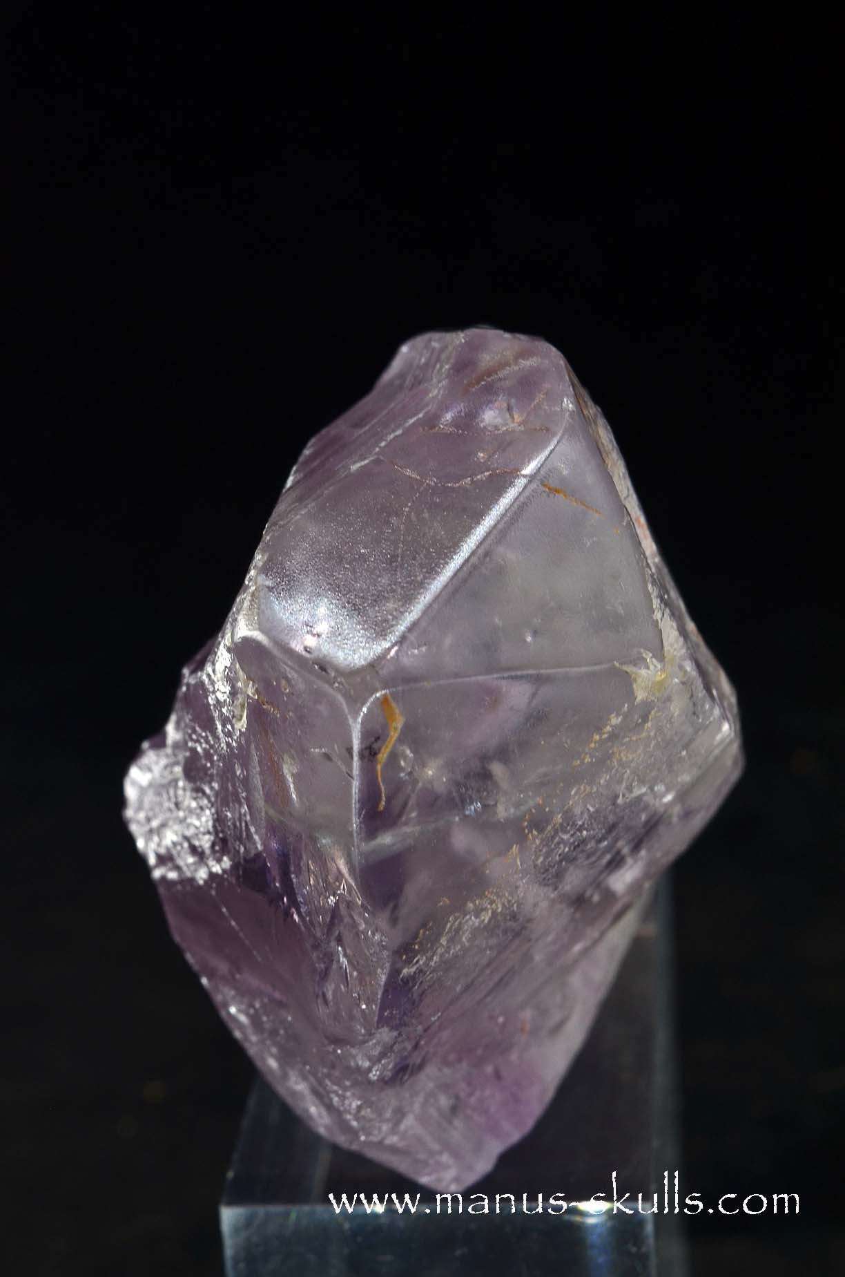 Phantom Amethyst Dragon Bird Skull .....