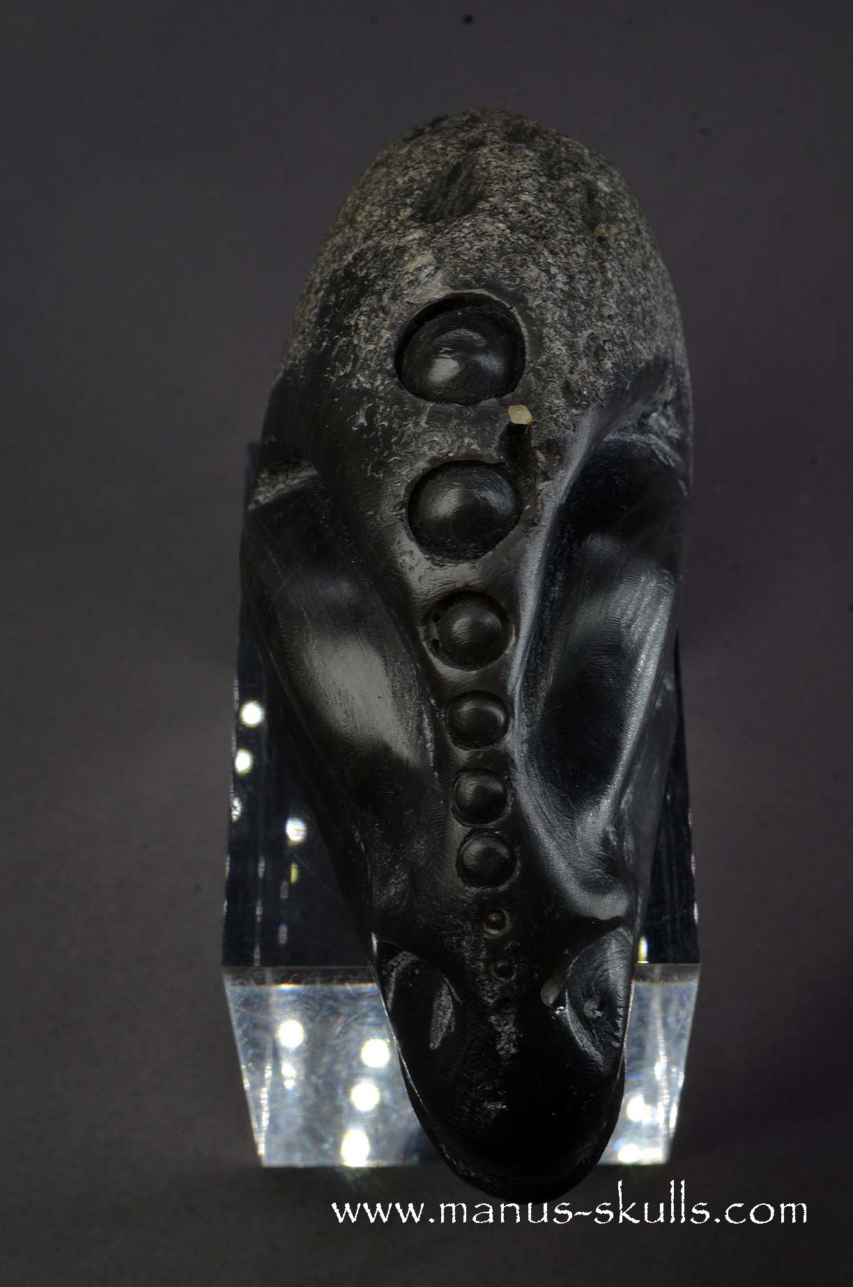 Agni Manitite Alien Skull
