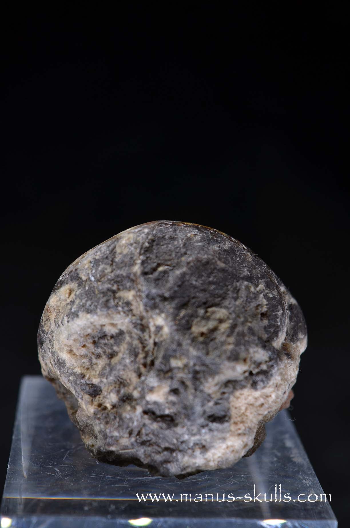 Agate Geode Evolian #03