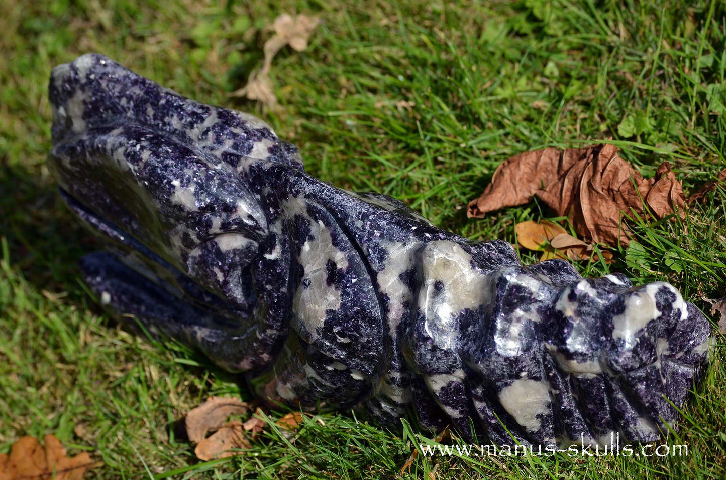 Huge LEPIDOLITE Dragon ...