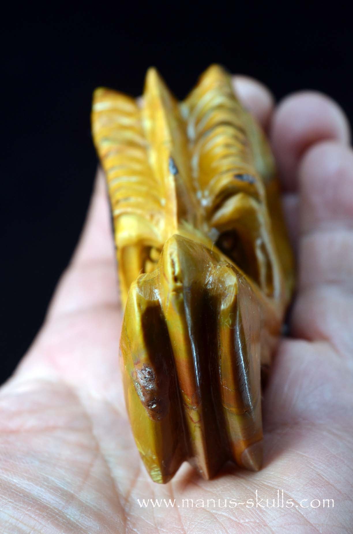 Rainbow Jasper Dragon