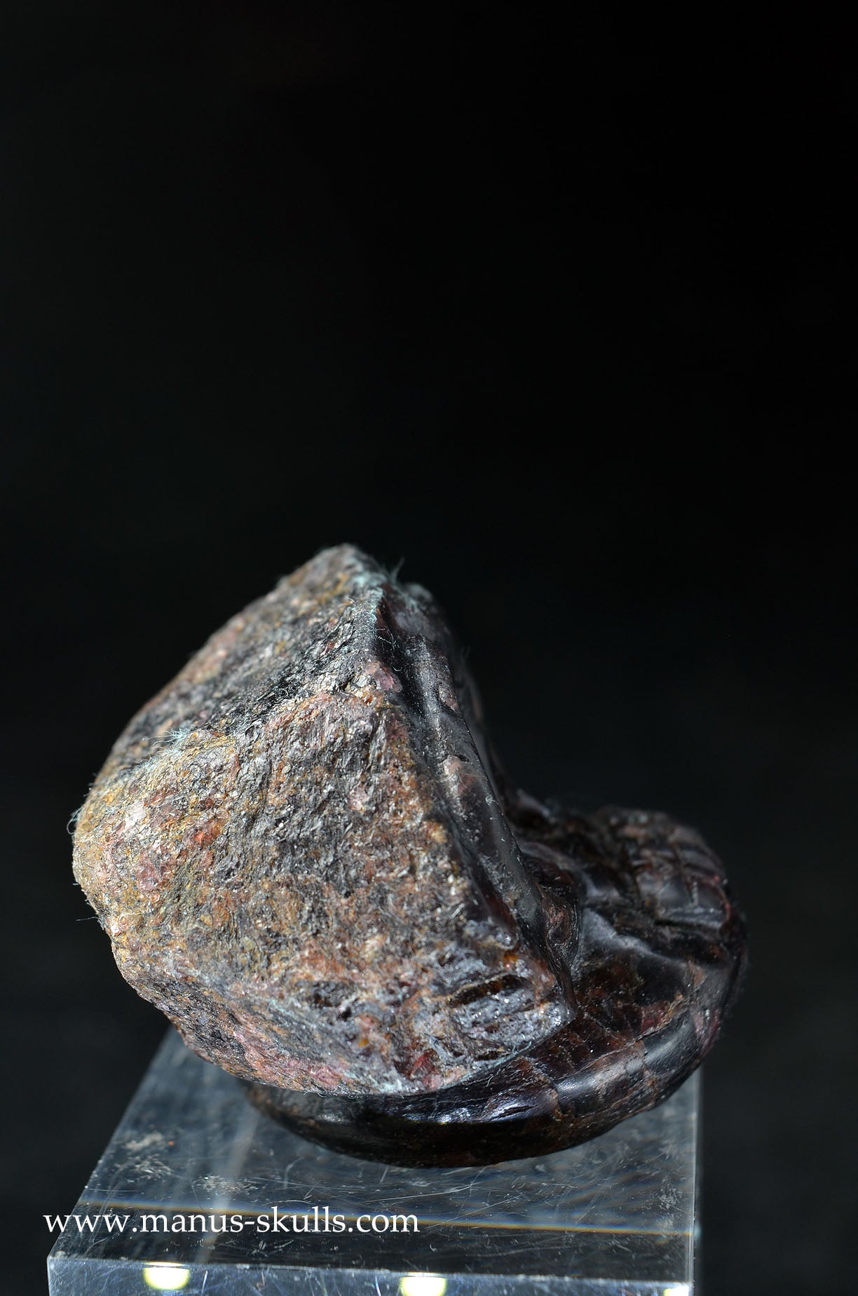 Garnet Evolian #10