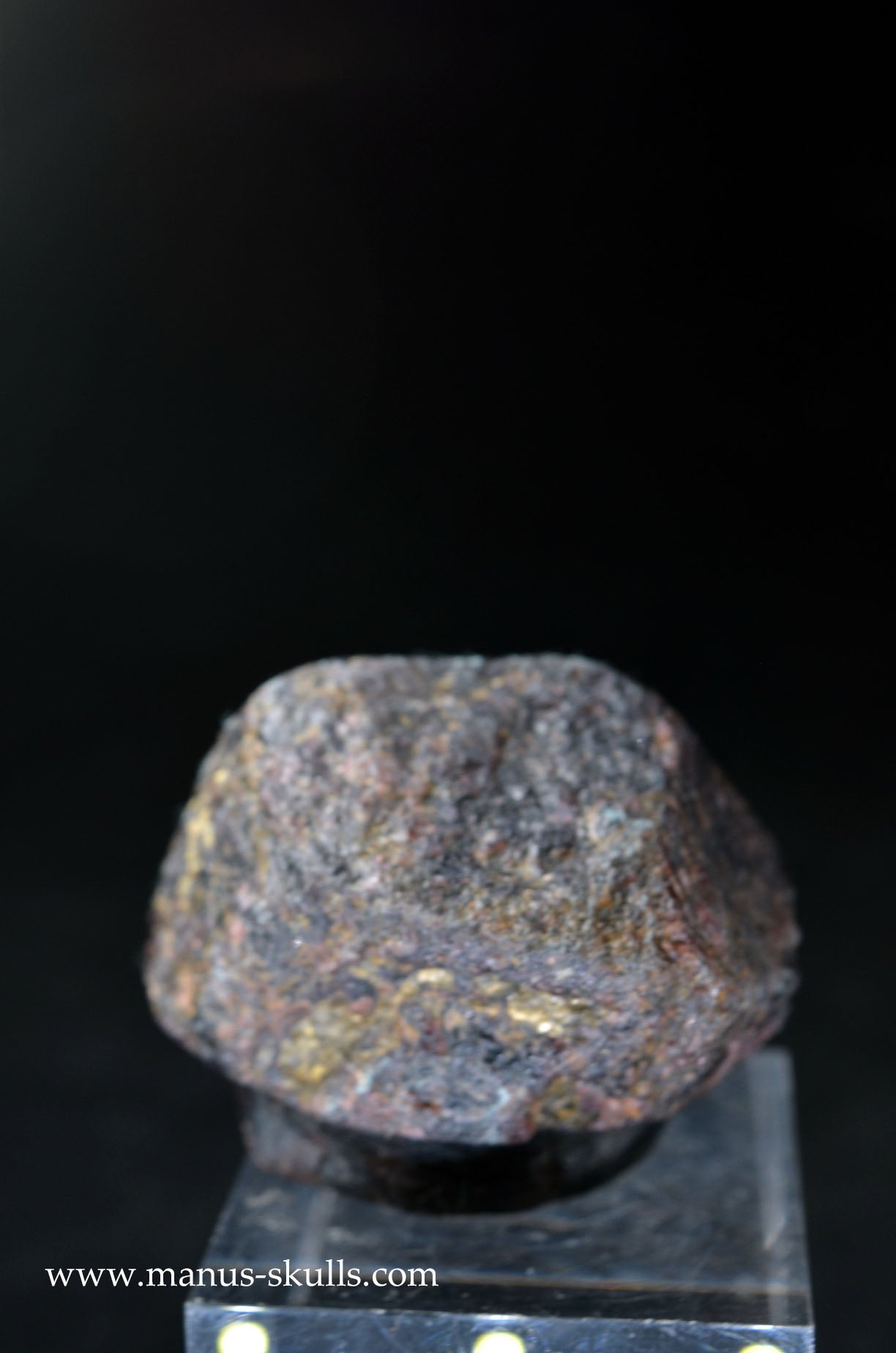 Garnet Evolian #10