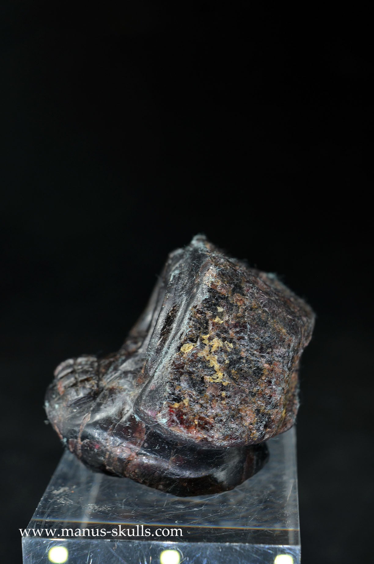 Garnet Evolian #10
