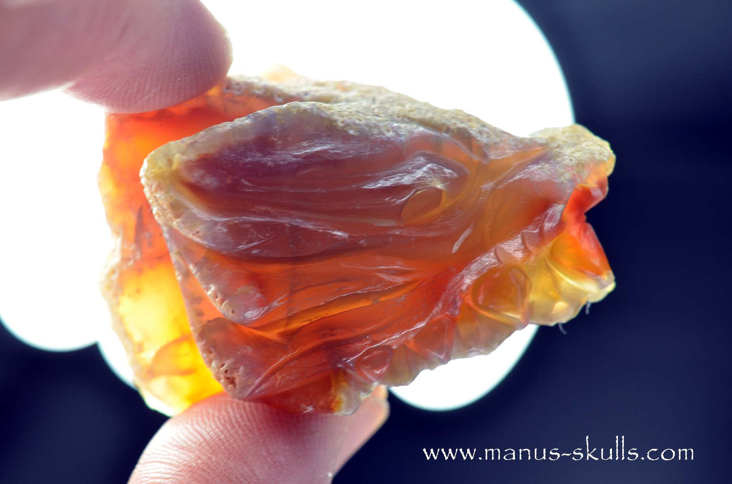 Carnelian Dragon