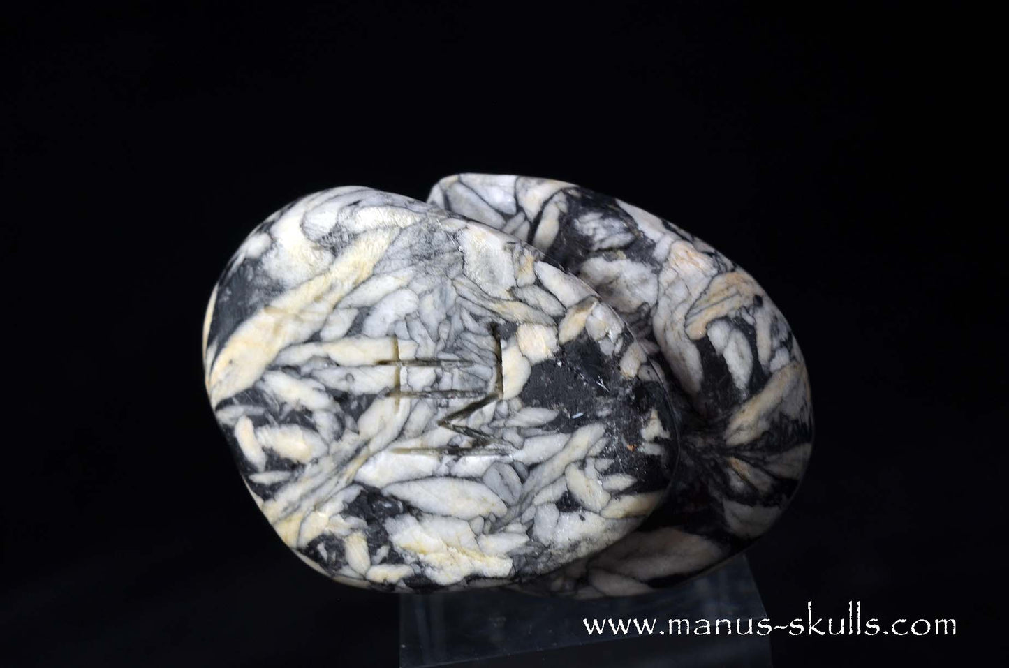 Austrian Pinolith Evolian #11