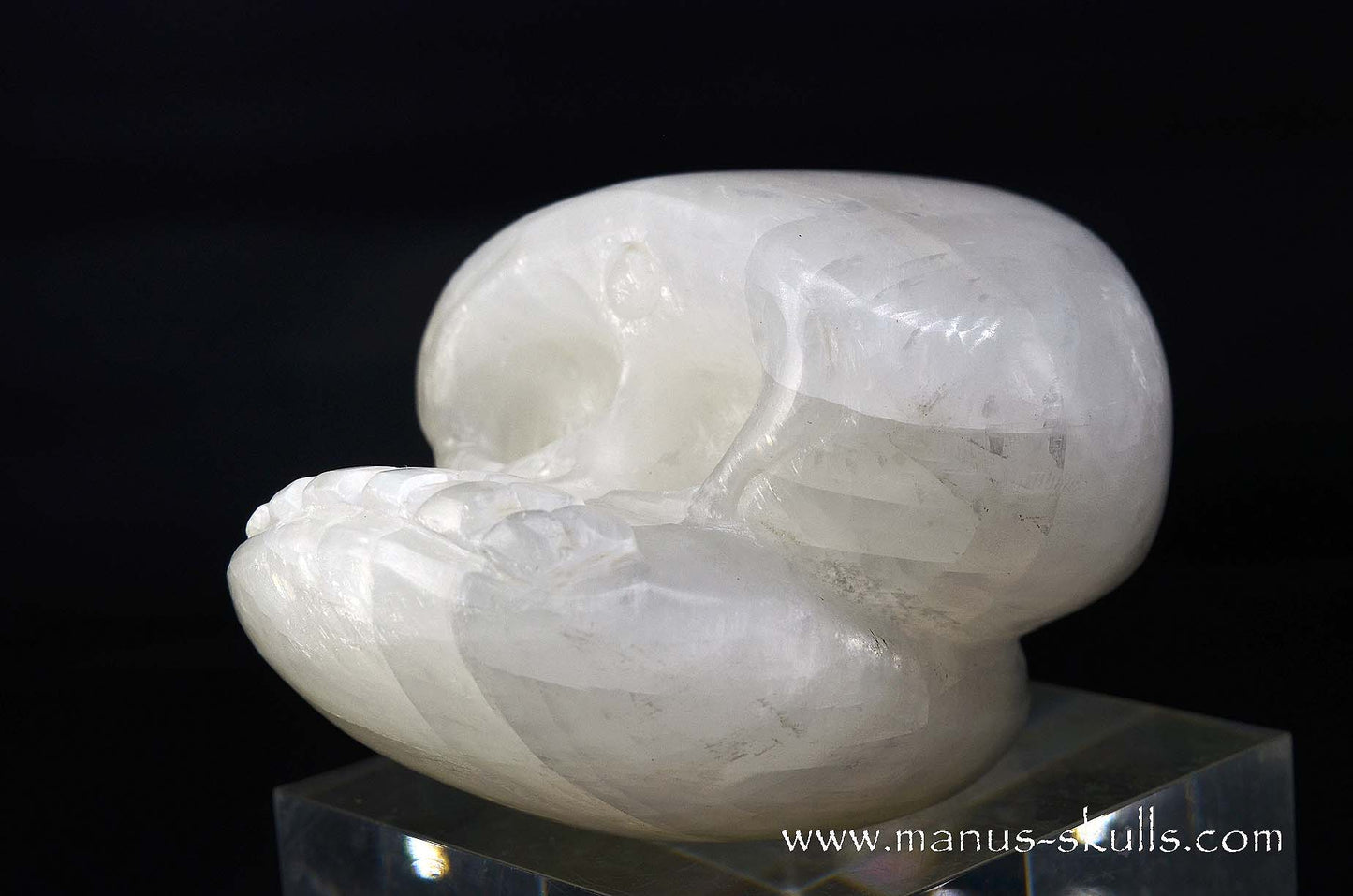 White Calcite Evolian Skull  #05