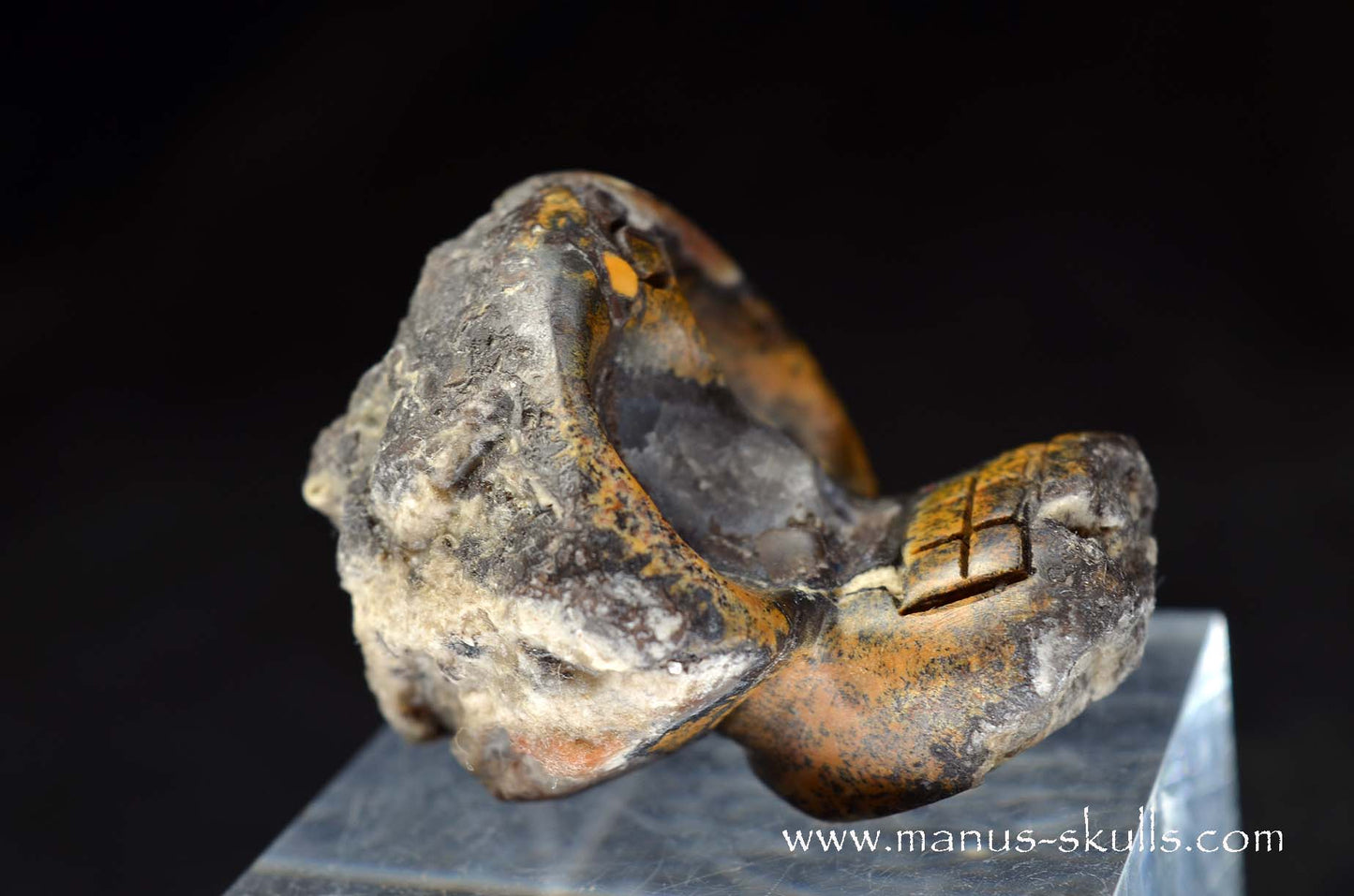 Agate Geode Evolian #03