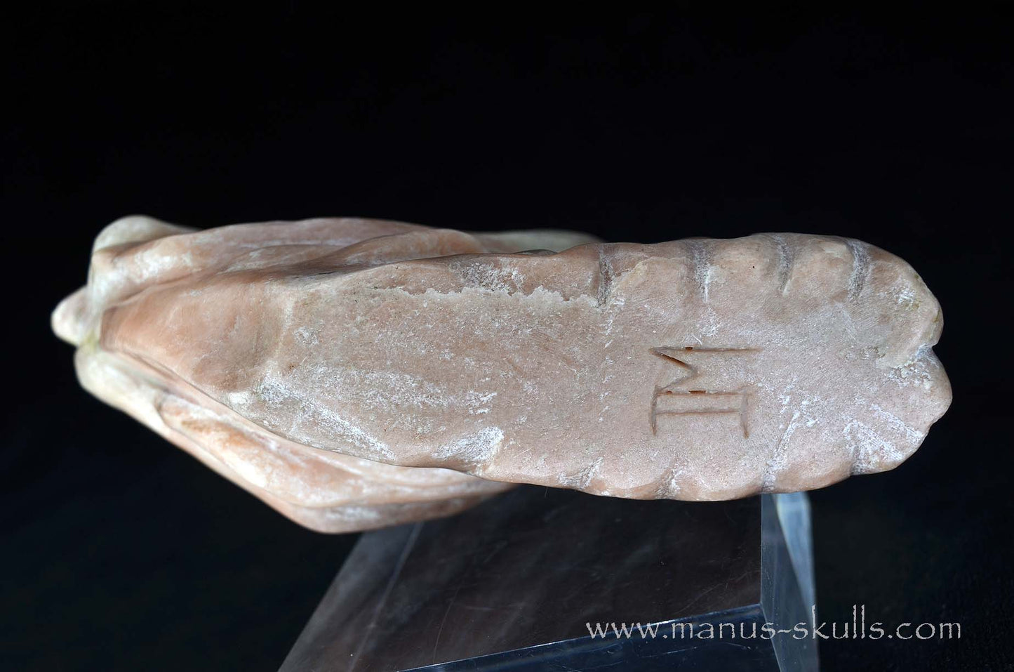 Austrian Pink Solker Marble Dragon