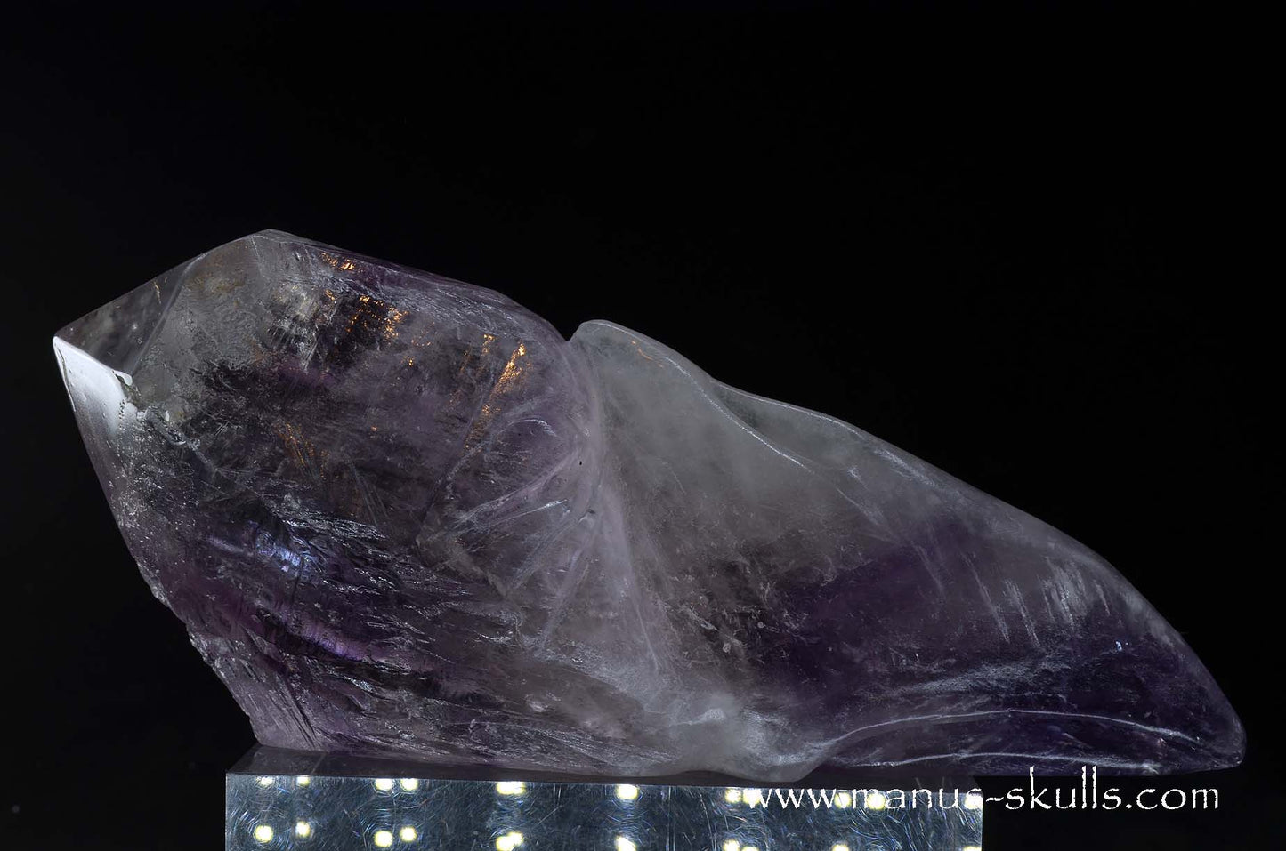 Phantom Amethyst Dragon Bird Skull .....