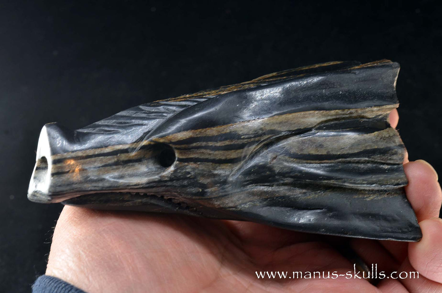 Greenland Isua Dragon