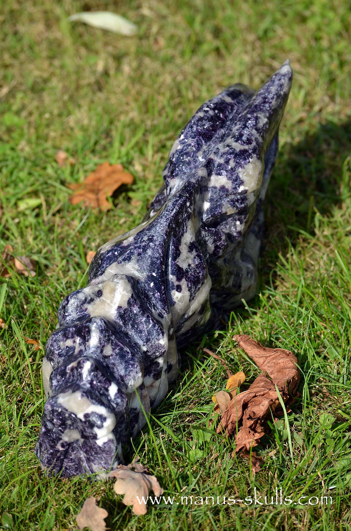 Huge LEPIDOLITE Dragon ...