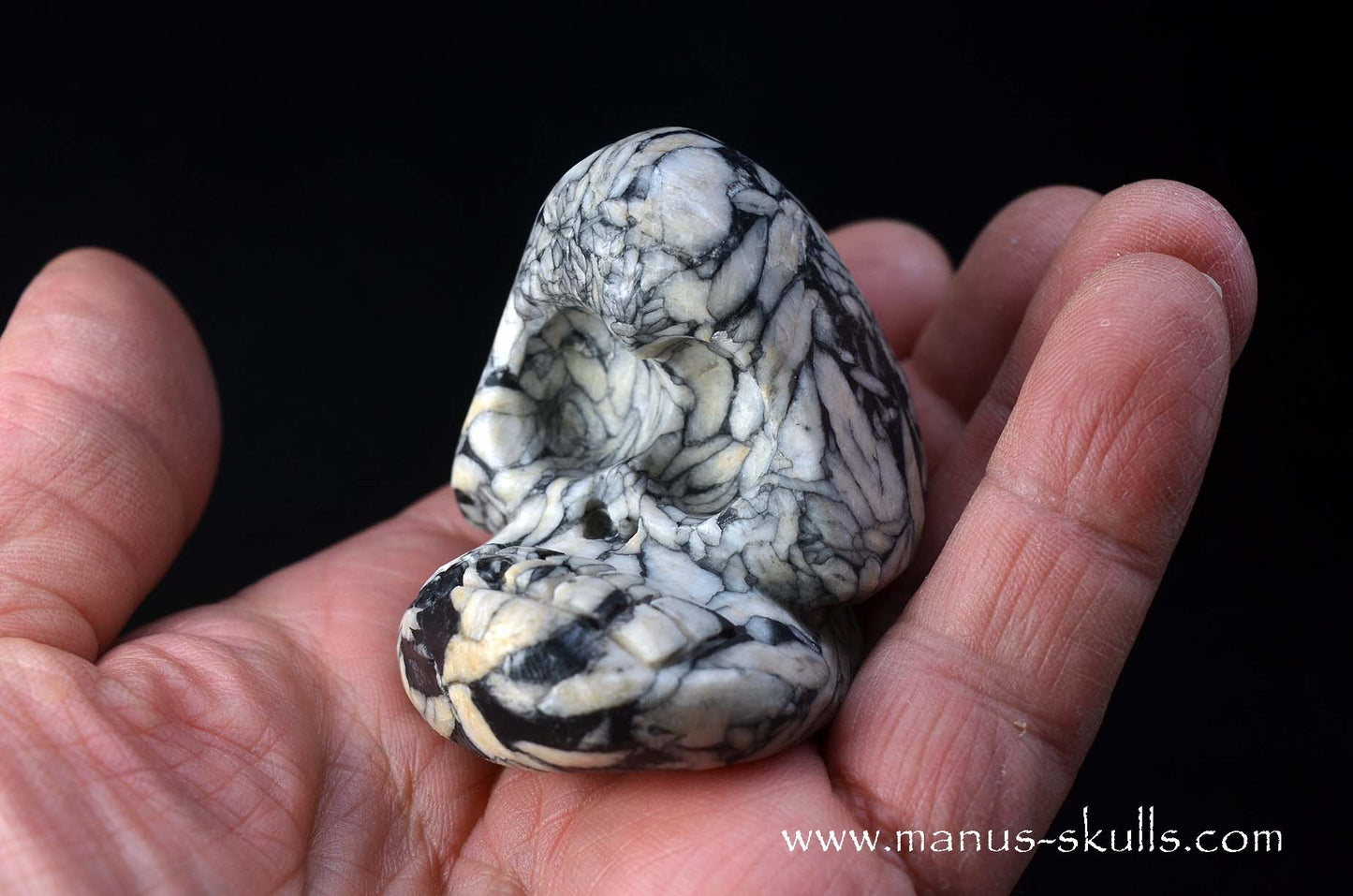 Austrian Pinolith Evolian #11