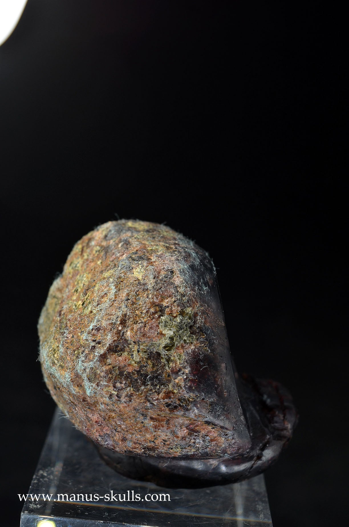 Garnet Evolian #11