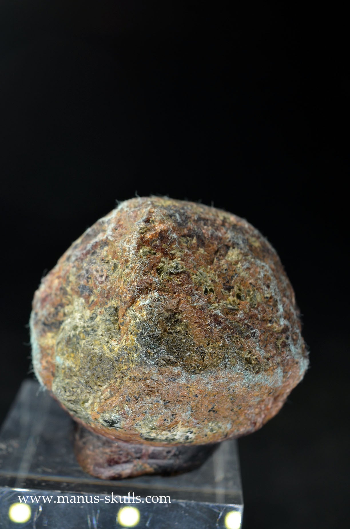 Garnet Evolian #11