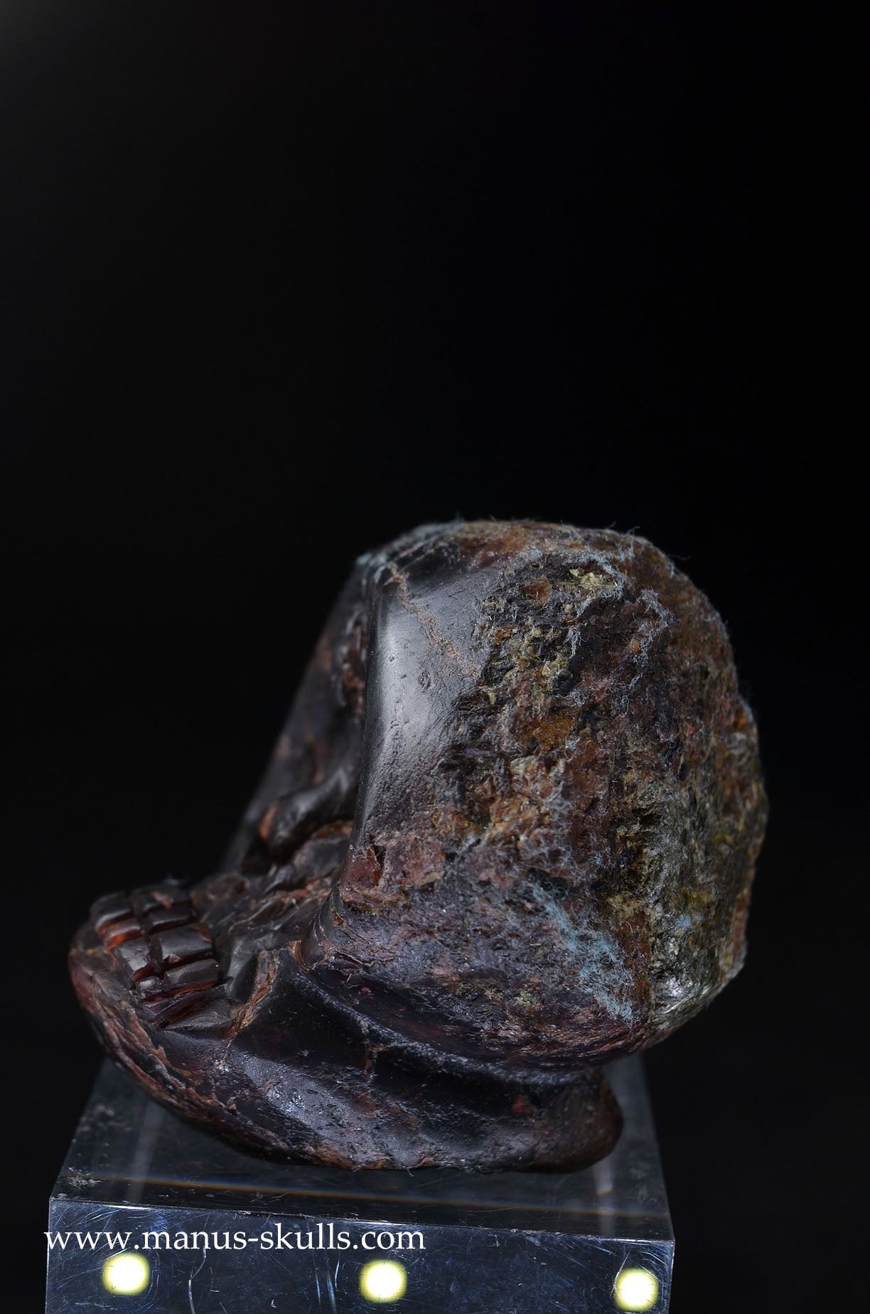 Garnet Evolian #11