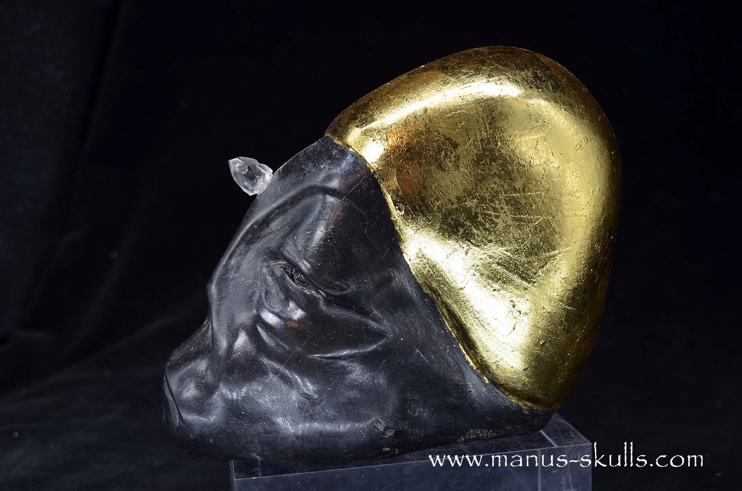 Star Light Being Skull  (Vaelor)