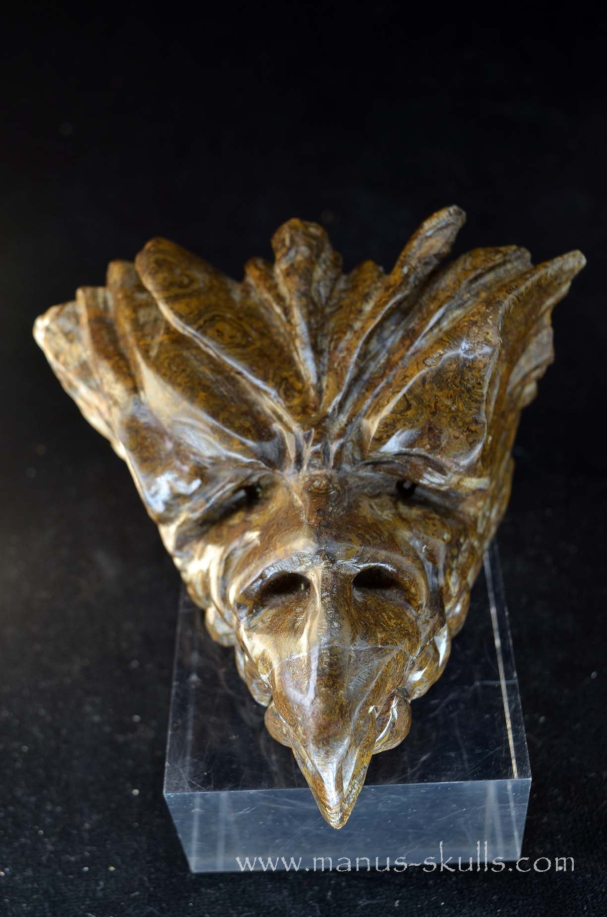 Stromatolite Dragon