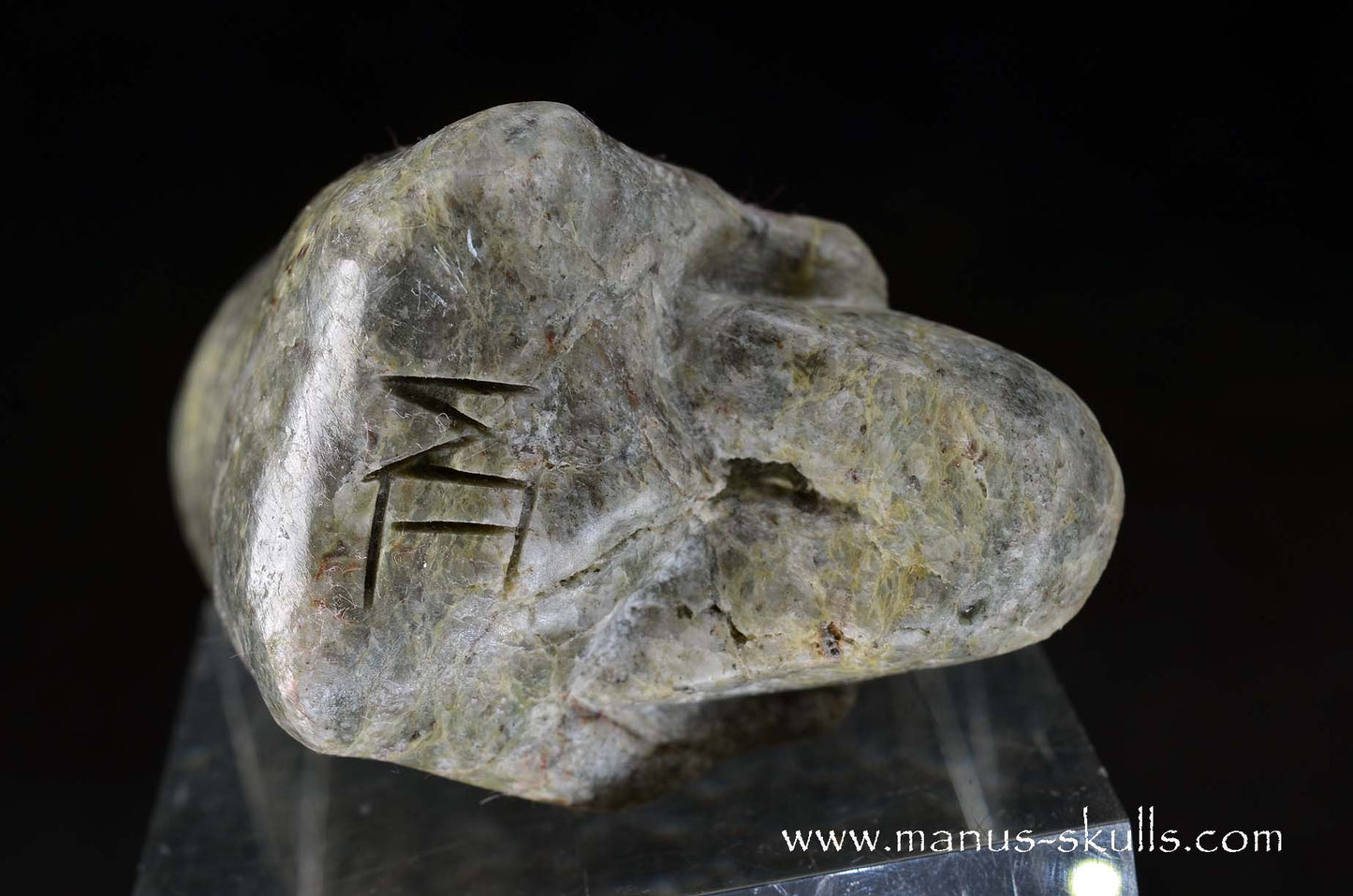 Fluorite in Barite Toothless Conehead Skull