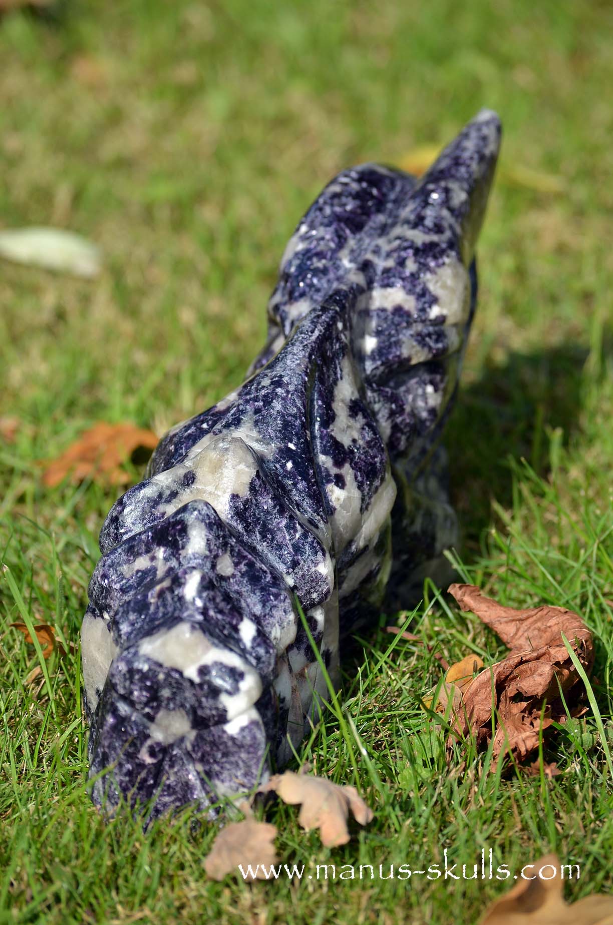 Huge LEPIDOLITE Dragon ...