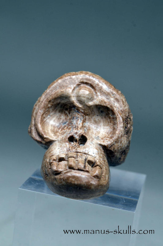 Evolian Manus SKULL