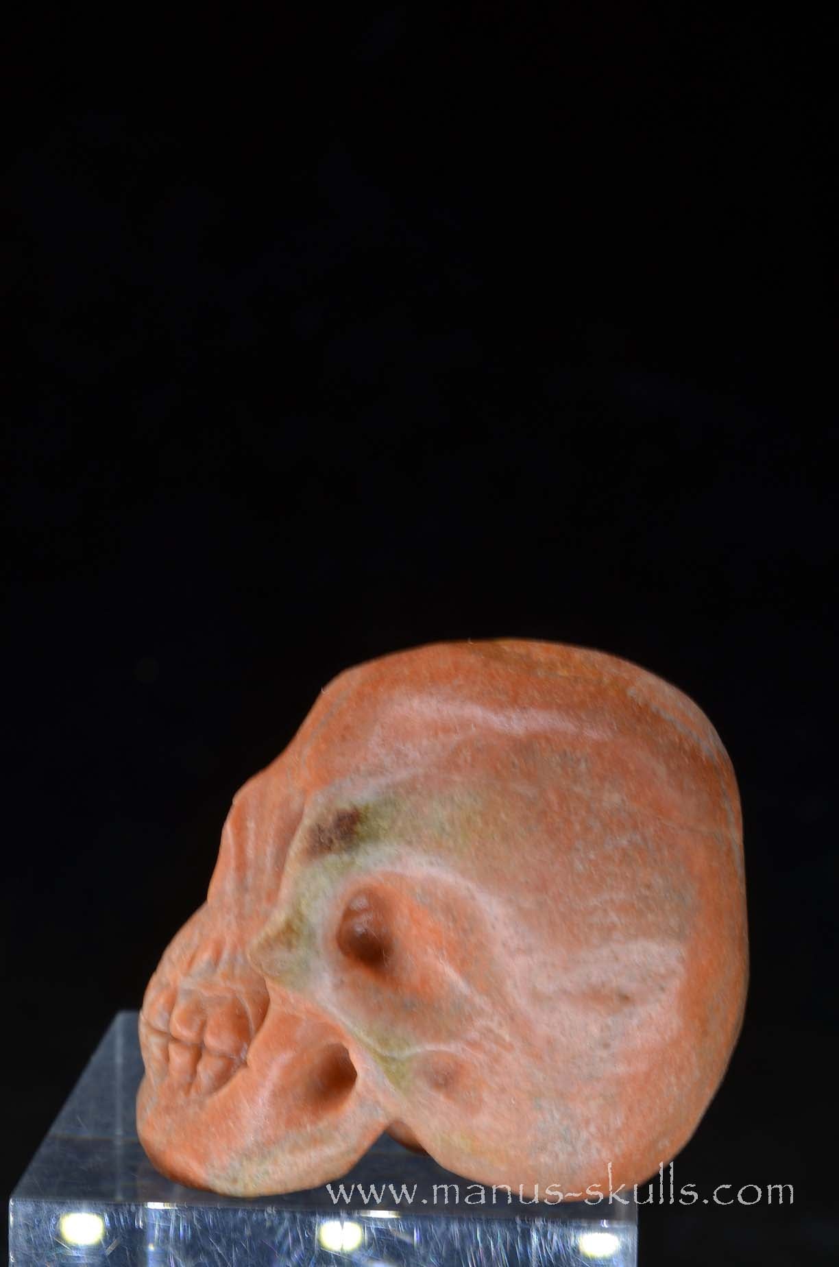 Rare Barytocelestine / Celestobaryte Skull