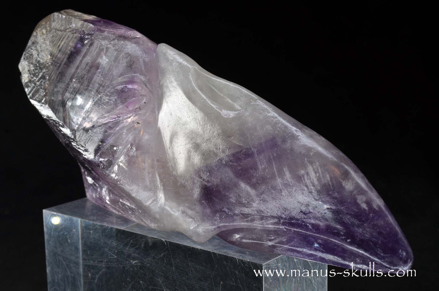 Phantom Amethyst Dragon Bird Skull .....