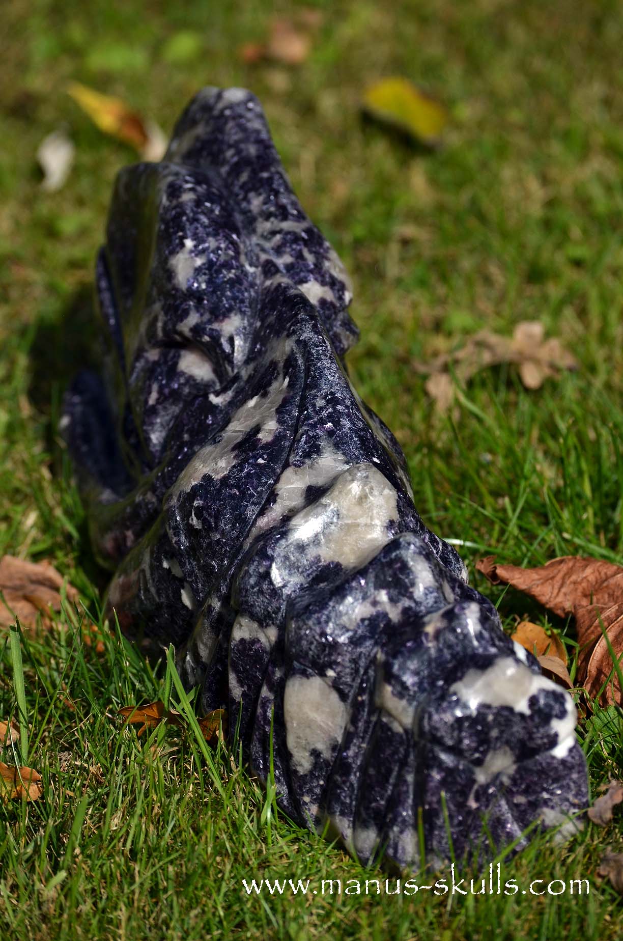 Huge LEPIDOLITE Dragon ...