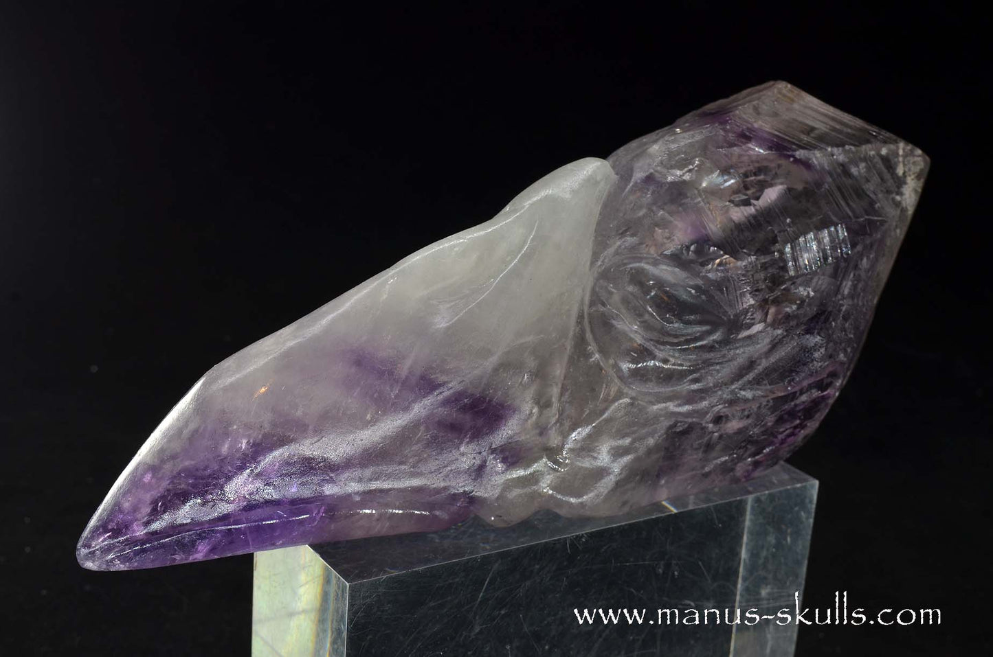 Phantom Amethyst Dragon Bird Skull .....