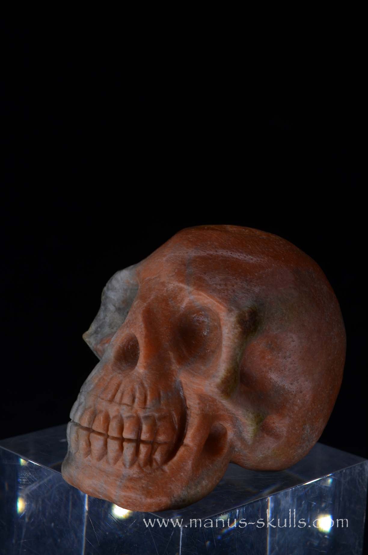 Rare Barytocelestine / Celestobaryte Skull