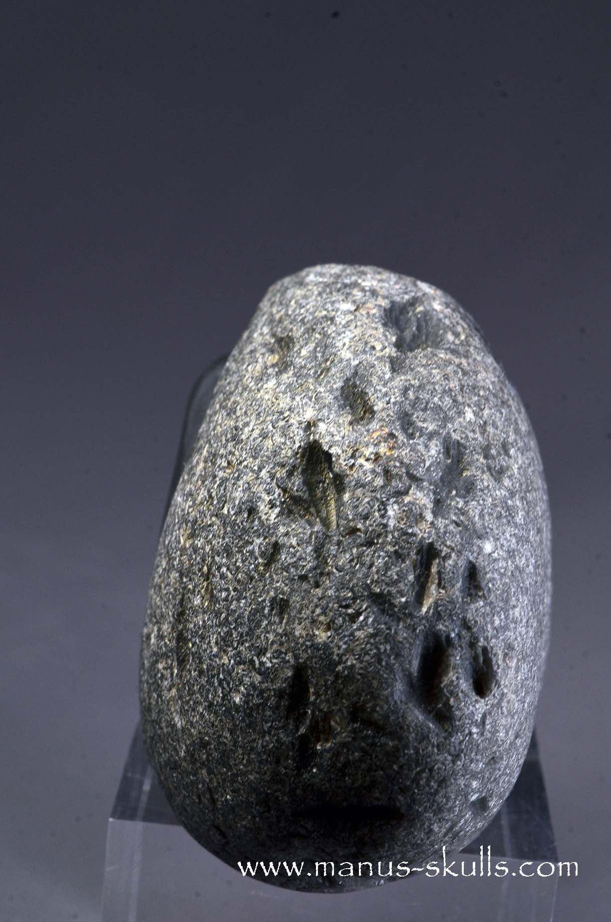 Agni Manitite Alien Skull