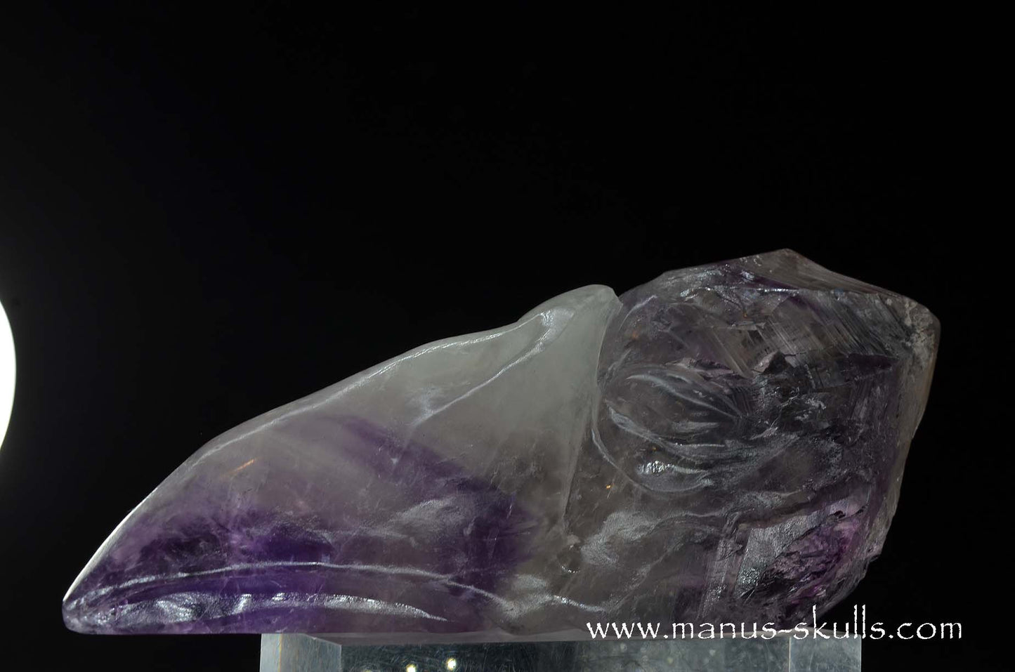 Phantom Amethyst Dragon Bird Skull .....