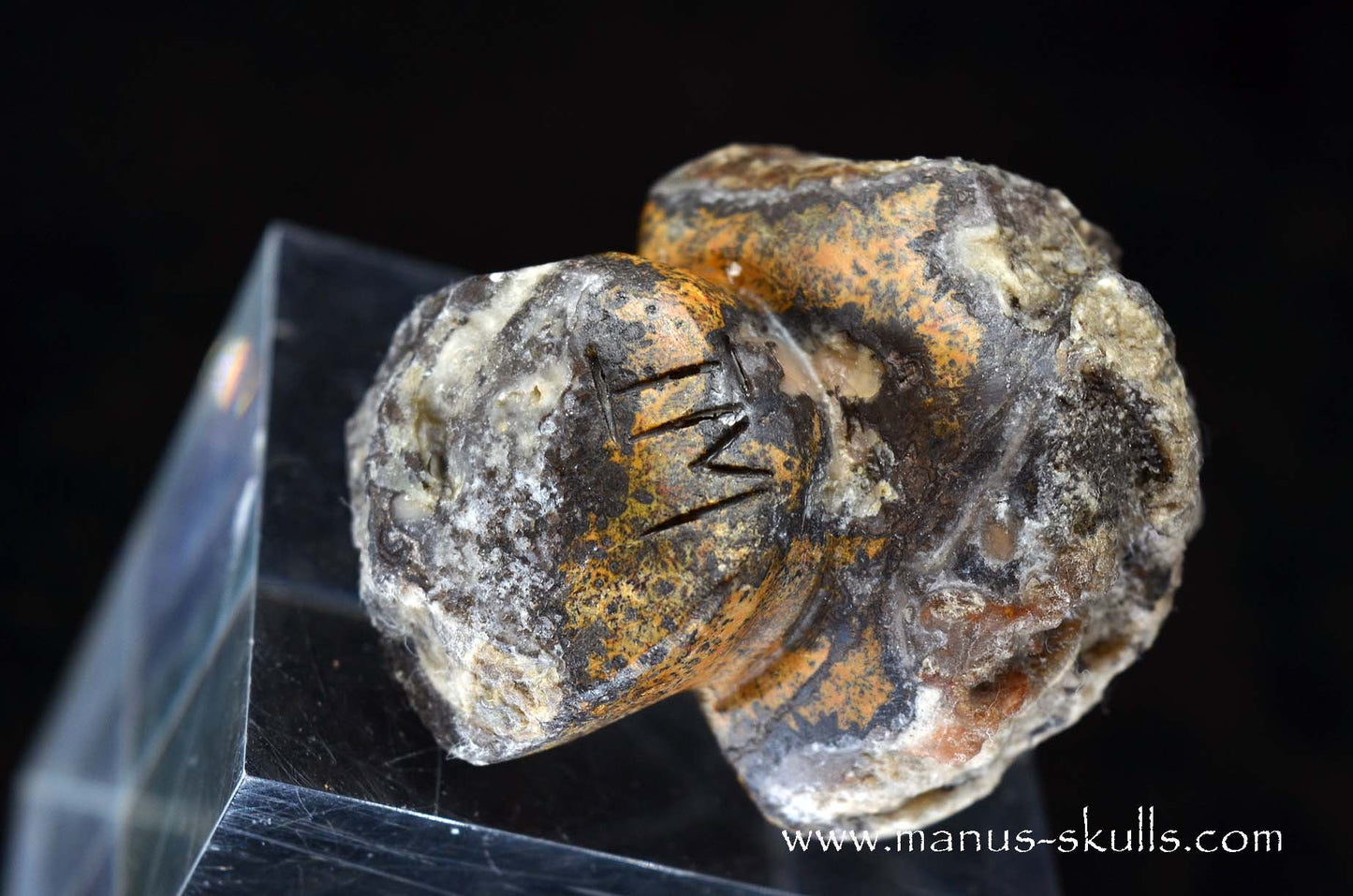 Agate Geode Evolian #03