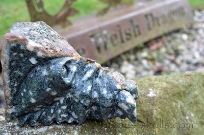 Large Preseli Bluestone Skull.