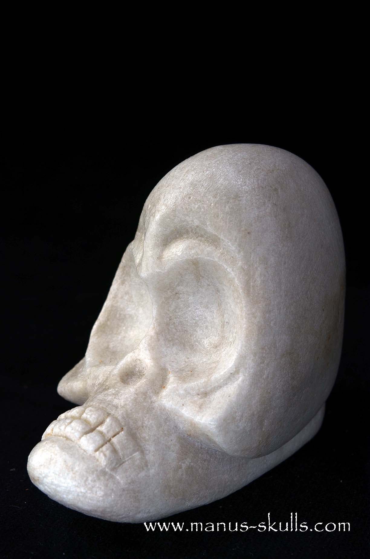 Manus skulls unique Crystal Carvings handmade skulls dragons pendants preseli bluestone tribals spiritual meaning wand Unicorn … white steatite evolian