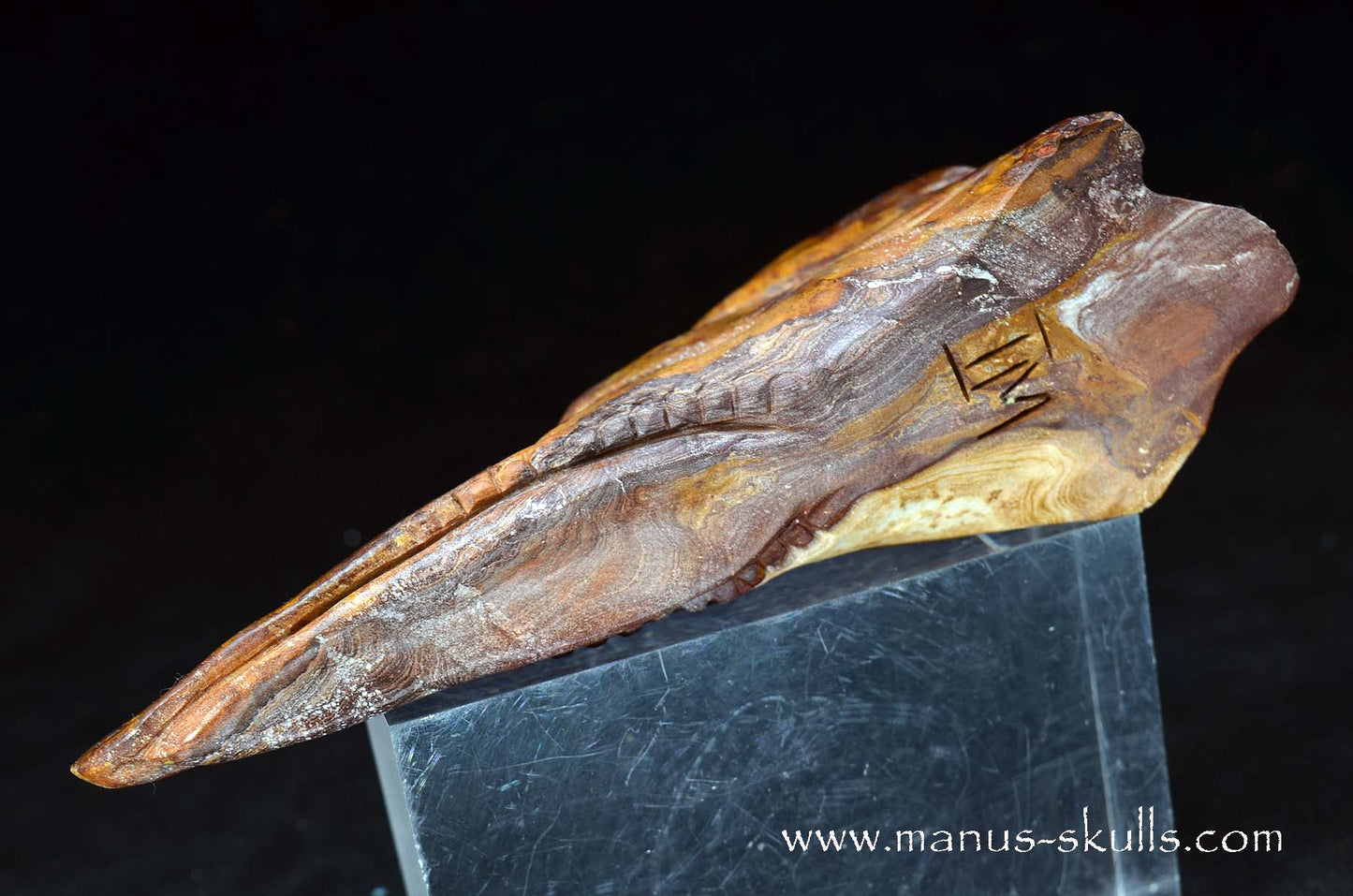 Batik Jasper Dragon Bird