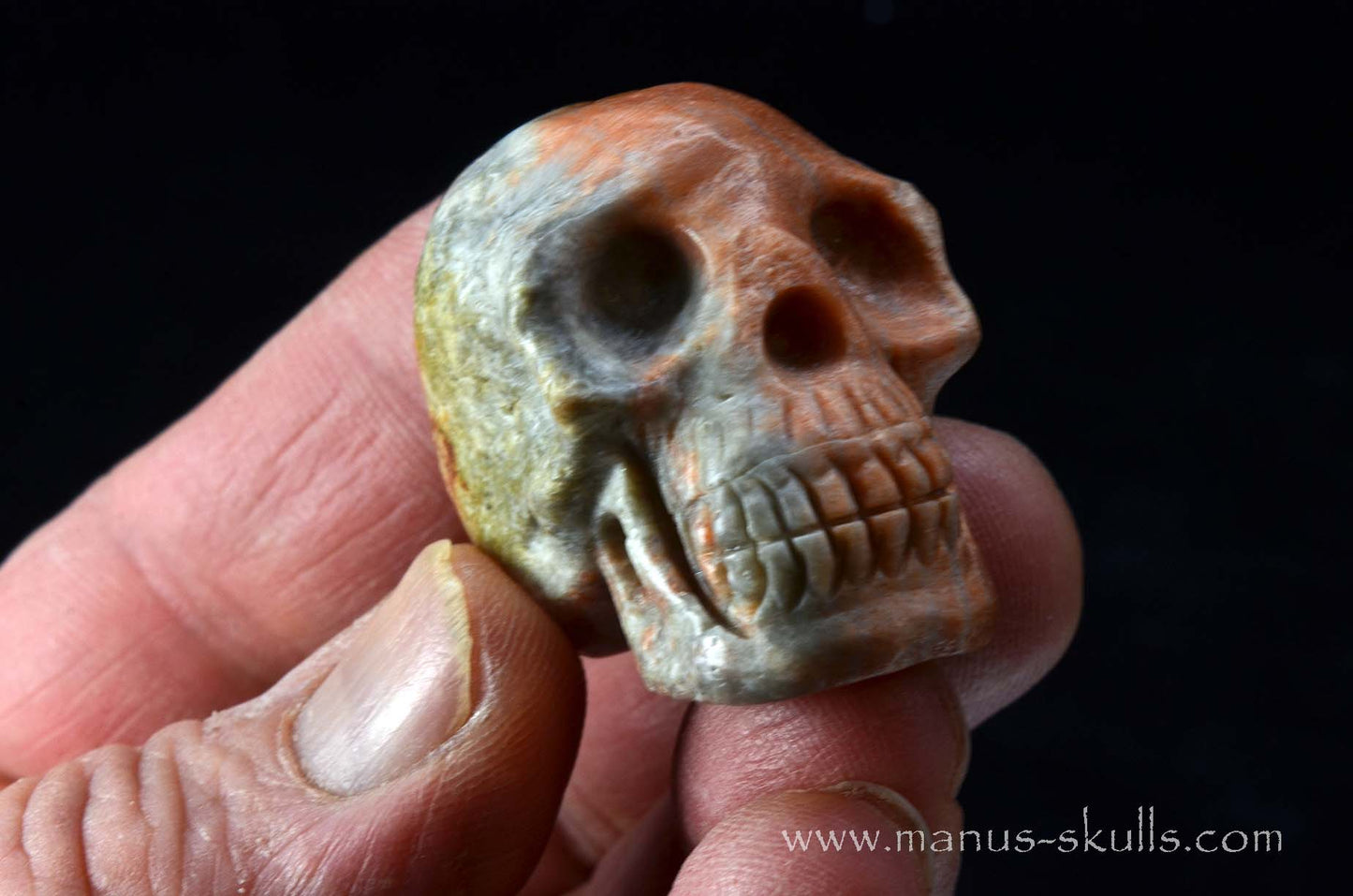Rare Barytocelestine / Celestobaryte Skull