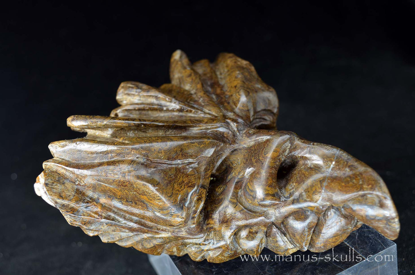Stromatolite Dragon