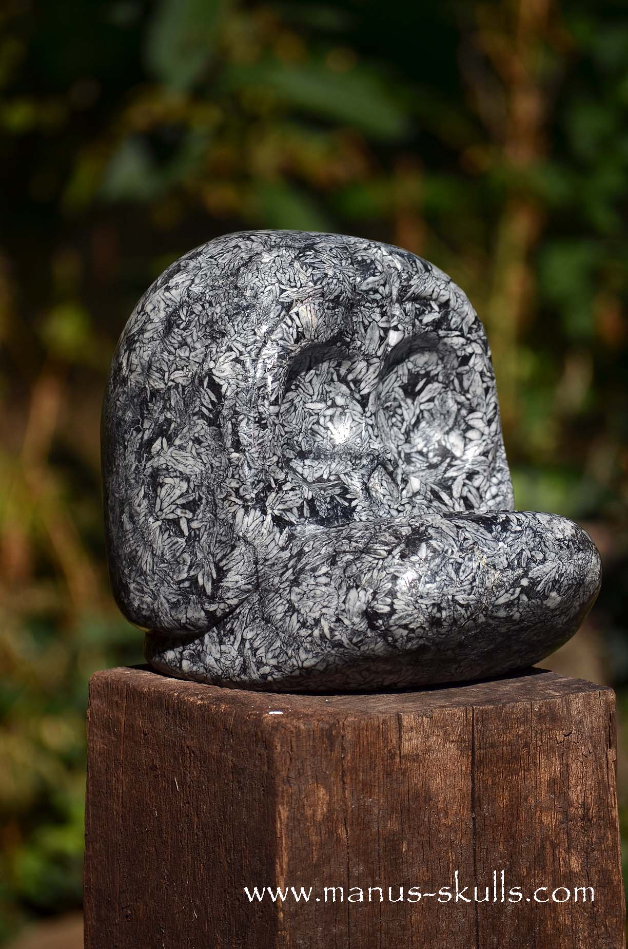 Austrian Pinolith Evolian #08