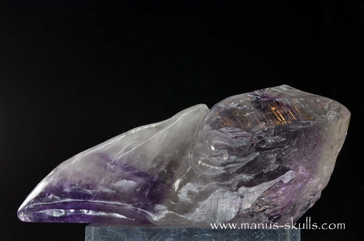 Phantom Amethyst Dragon Bird Skull .....