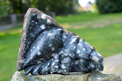 Large Preseli Bluestone Skull.